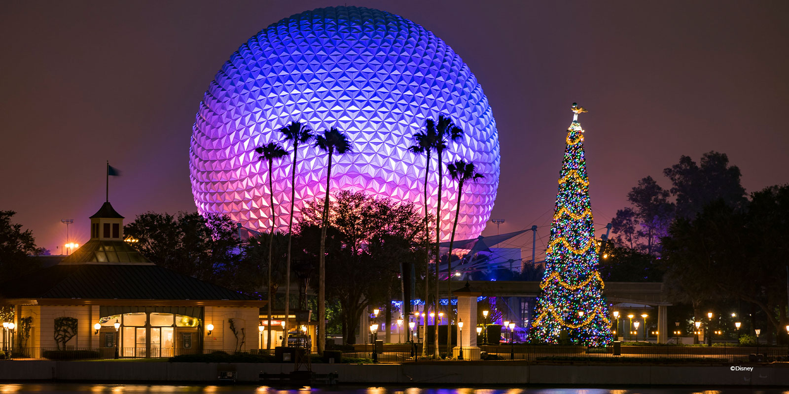 EPCOT at night with christmas tree